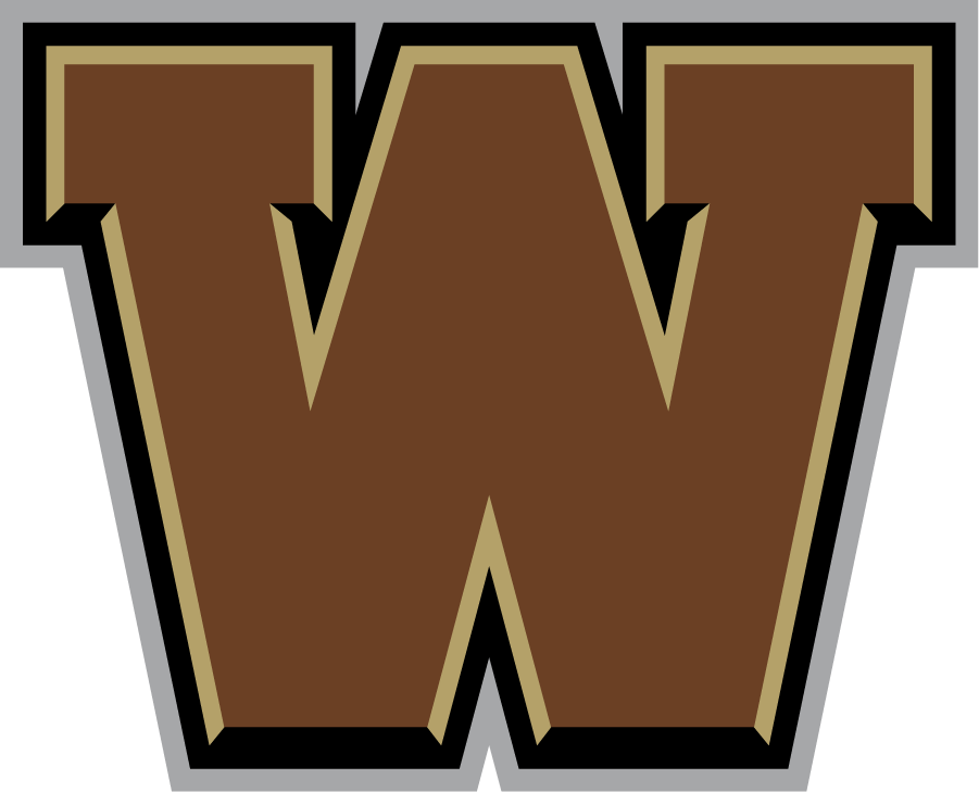 Western Michigan Broncos 2016-2021 Secondary Logo DIY iron on transfer (heat transfer)